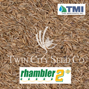 Kostrava trsťovitá - Festuca arundinacea Rhambler 2 SRP™ - 2 kg