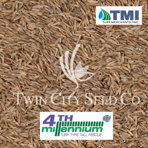 Kostrava trsťovitá - Festuca arundinacea 4th Millenium SRP™ - 2 kg