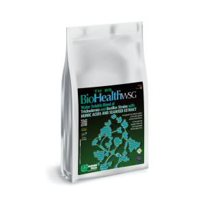 Biohealth® TH BS WSG